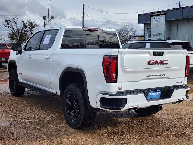 2024 GMC Sierra 1500 Vehicle Photo in PARIS, TX 75460-2116