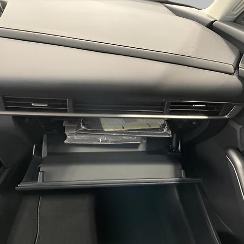 2025 Mazda CX-30 Vehicle Photo in Green Bay, WI 54304