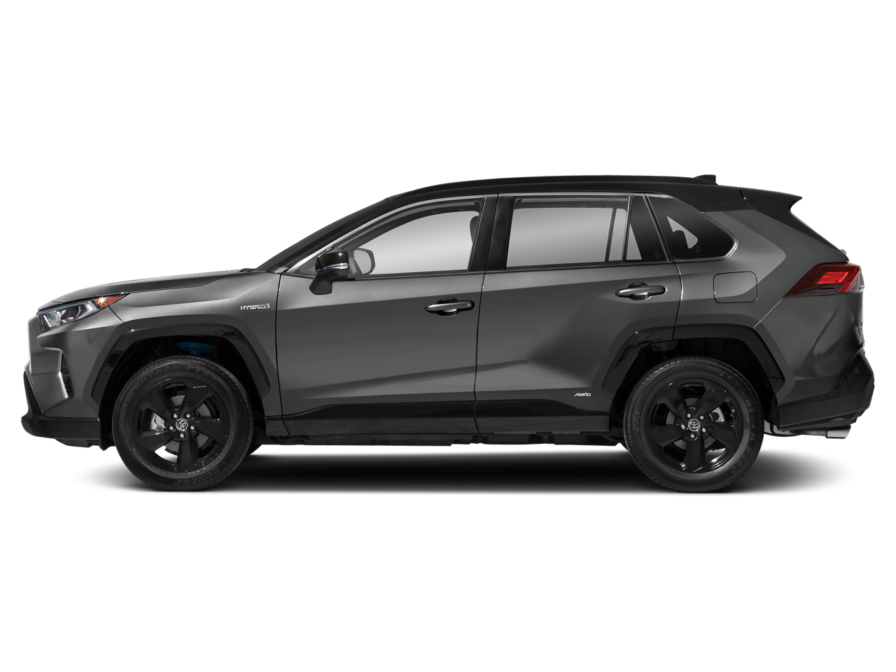 2019 Toyota RAV4 Vehicle Photo in Green Bay, WI 54304
