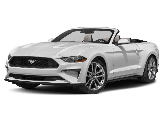 2022 Ford Mustang Vehicle Photo in Green Bay, WI 54304