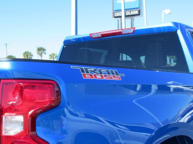 2025 Chevrolet Silverado 1500 Vehicle Photo in LEESBURG, FL 34788-4022