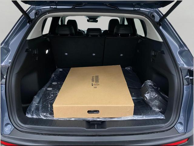 2025 Mazda CX-50 Vehicle Photo in Appleton, WI 54913
