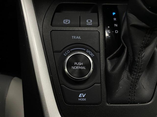 2024 Toyota RAV4 Vehicle Photo in Appleton, WI 54913