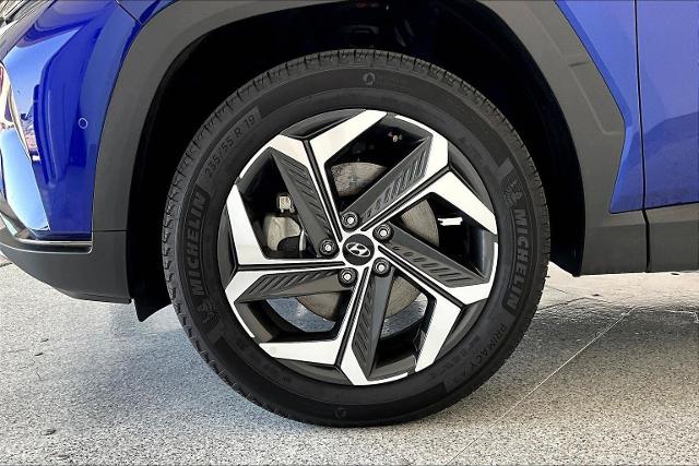 2024 Hyundai TUCSON Vehicle Photo in San Antonio, TX 78230