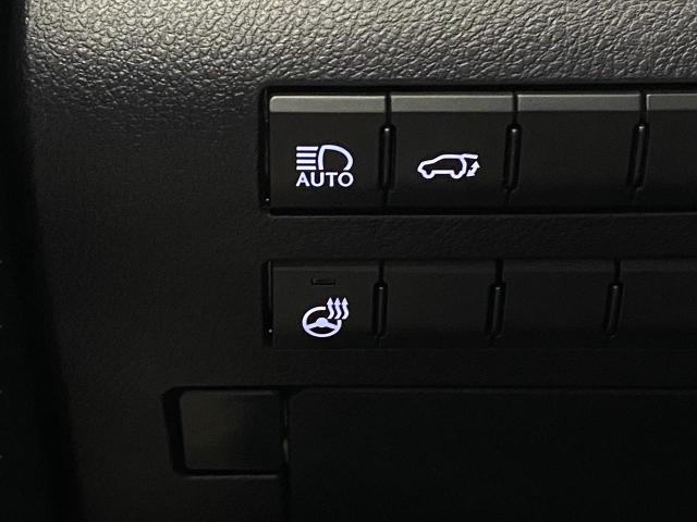 2021 Lexus RX 350 Vehicle Photo in Appleton, WI 54913