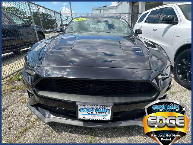 2019 Ford Mustang Vehicle Photo in Roslyn, NY 11576