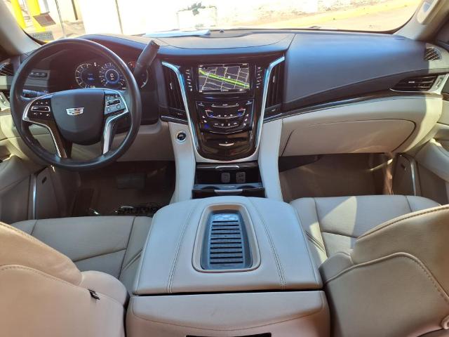 2019 Cadillac Escalade Vehicle Photo in Tampa, FL 33612