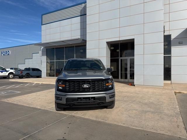 2025 Ford F-150 Vehicle Photo in Winslow, AZ 86047-2439