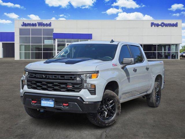 2024 Chevrolet Silverado 1500 Vehicle Photo in Decatur, TX 76234