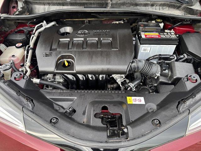 2019 Toyota C-HR Vehicle Photo in San Antonio, TX 78230