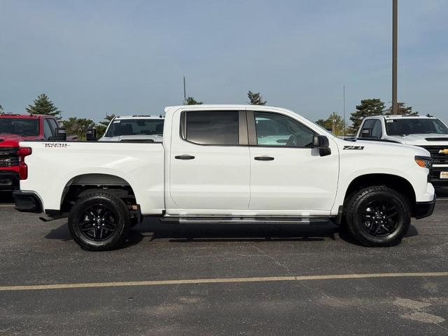 2023 Chevrolet Silverado 1500 Vehicle Photo in COLUMBIA, MO 65203-3903