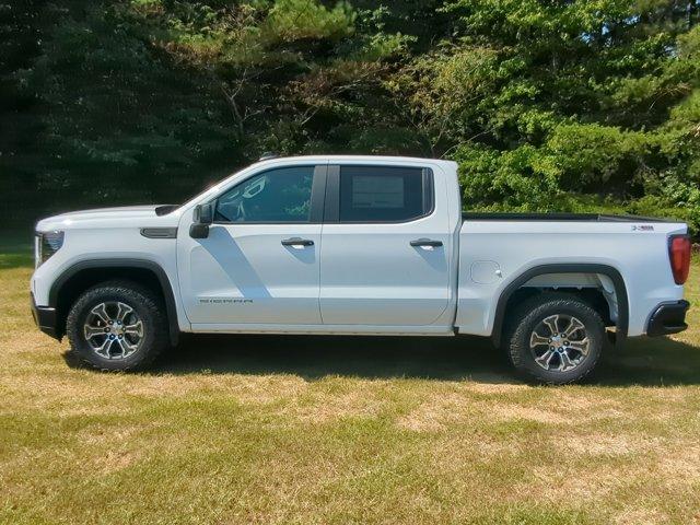 2024 GMC Sierra 1500 Vehicle Photo in ALBERTVILLE, AL 35950-0246