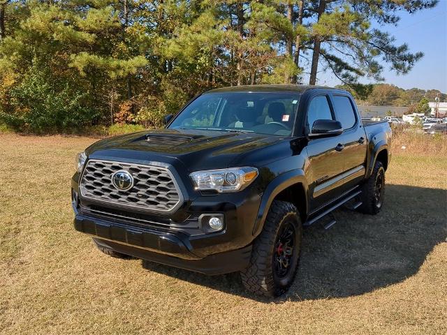 2023 Toyota Tacoma Vehicle Photo in ALBERTVILLE, AL 35950-0246