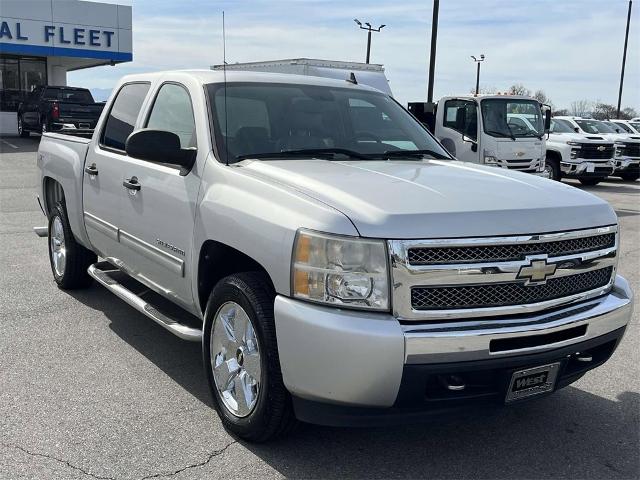 2010 Chevrolet Silverado 1500 Vehicle Photo in ALCOA, TN 37701-3235