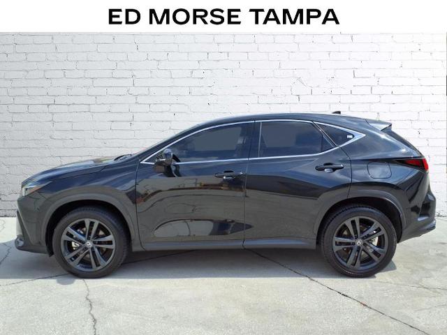 2024 Lexus NX 450h+ Vehicle Photo in Tampa, FL 33612