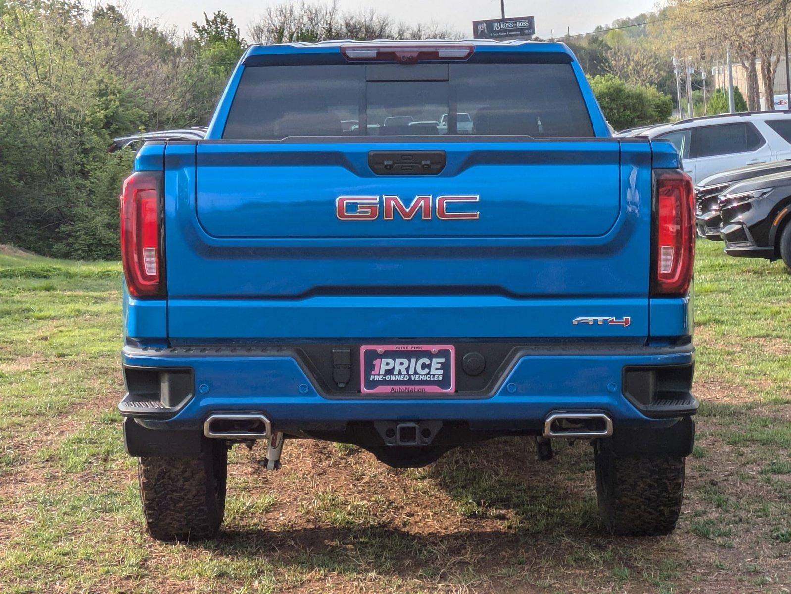 2024 GMC Sierra 1500 Vehicle Photo in Panama City, FL 32401