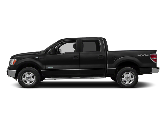 2014 Ford F-150 Vehicle Photo in San Antonio, TX 78230