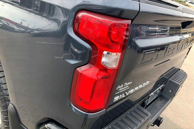 2019 Chevrolet Silverado 1500 Vehicle Photo in KANSAS CITY, MO 64114-4502