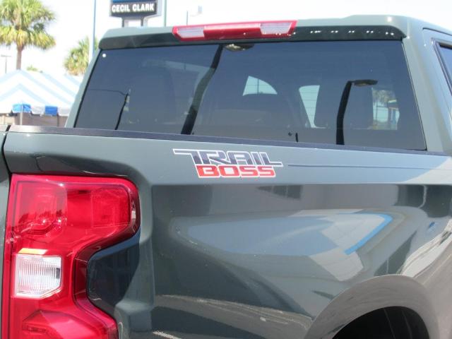 2025 Chevrolet Silverado 1500 Vehicle Photo in LEESBURG, FL 34788-4022