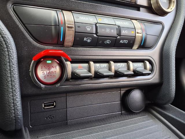 2021 Ford Mustang Vehicle Photo in Tampa, FL 33612