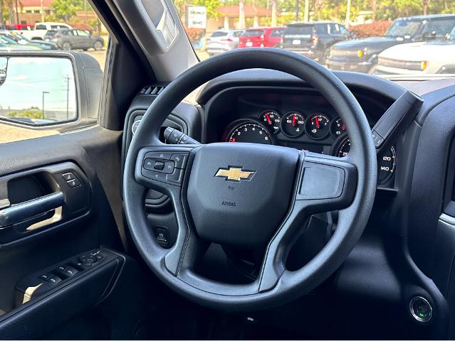 2025 Chevrolet Silverado 1500 Vehicle Photo in BEAUFORT, SC 29906-4218