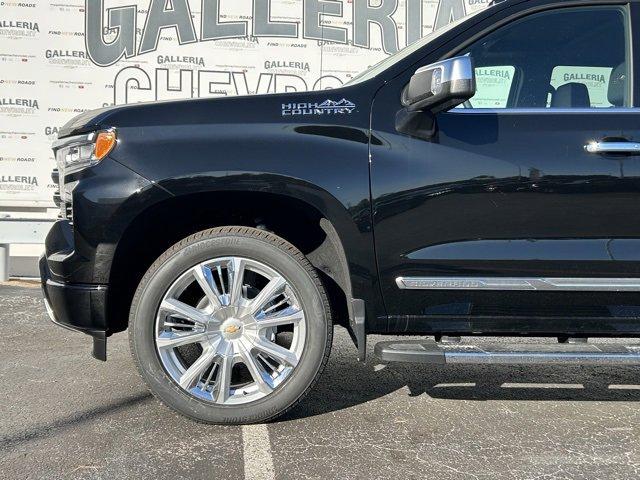 2024 Chevrolet Silverado 1500 Vehicle Photo in DALLAS, TX 75244-5909