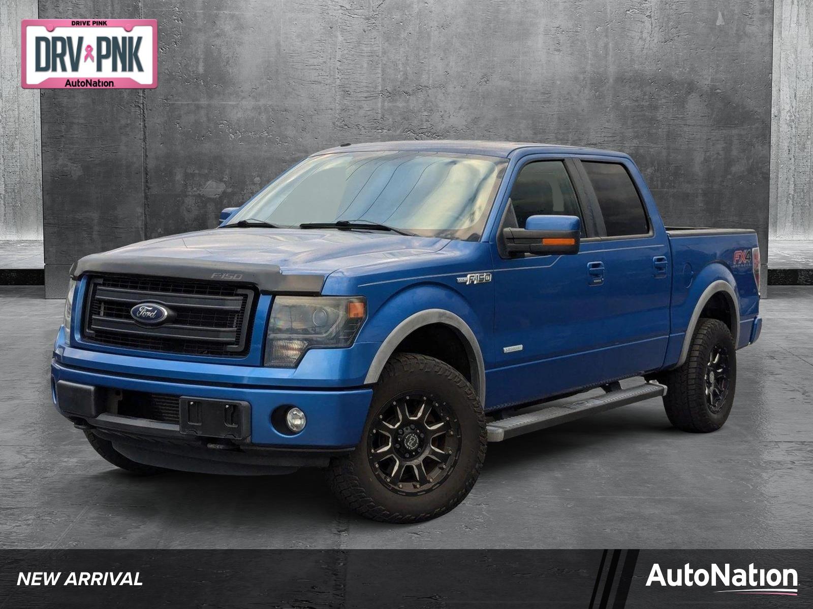 2013 Ford F-150 Vehicle Photo in Sanford, FL 32771