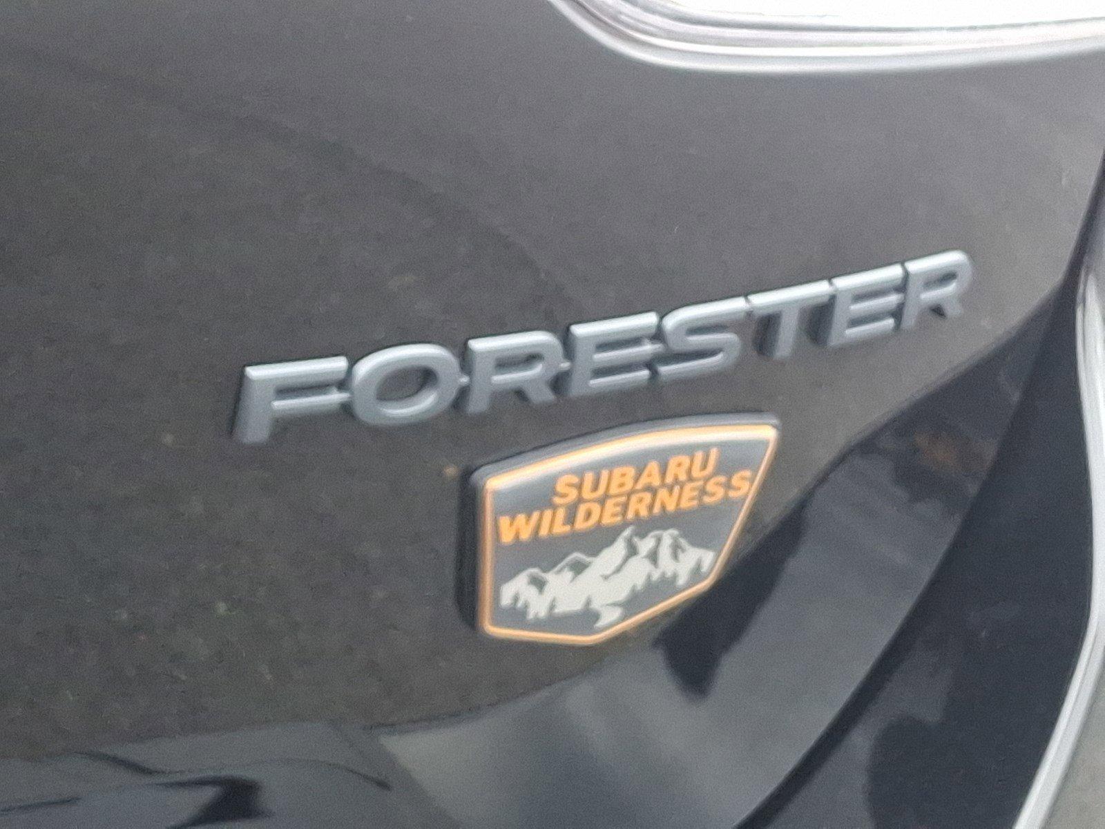 2023 Subaru Forester Vehicle Photo in Harrisburg, PA 17111