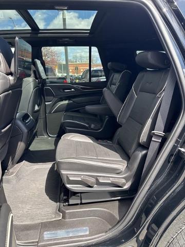2023 Cadillac Escalade Vehicle Photo in MOUNT KISCO, NY 10549-1513