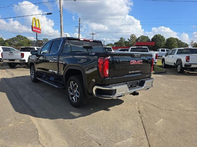 2025 GMC Sierra 1500 Vehicle Photo in LAFAYETTE, LA 70503-4541