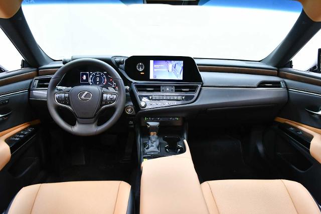 2024 Lexus ES 250 Vehicle Photo in DALLAS, TX 75235