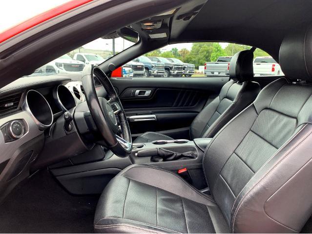 2023 Ford Mustang Vehicle Photo in BEAUFORT, SC 29906-4218