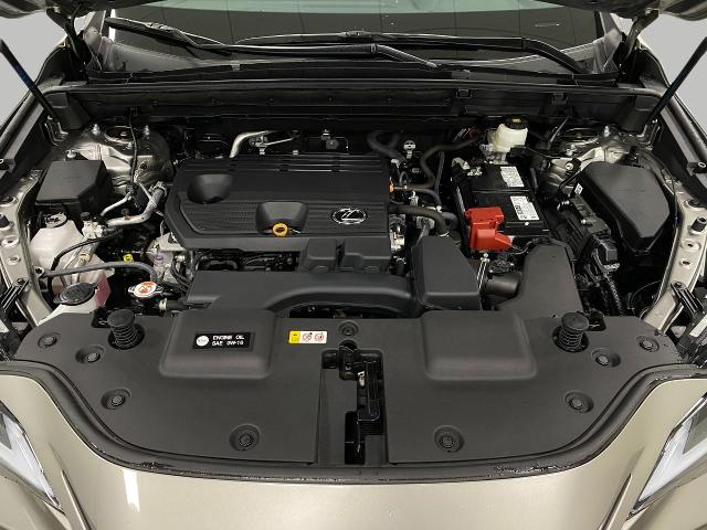 2024 Lexus NX 250 Vehicle Photo in Appleton, WI 54913