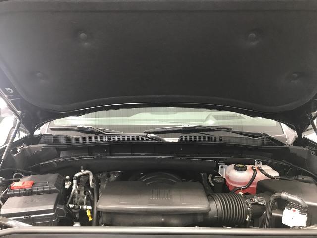 2025 GMC Sierra 1500 Vehicle Photo in GREEN BAY, WI 54303-3330