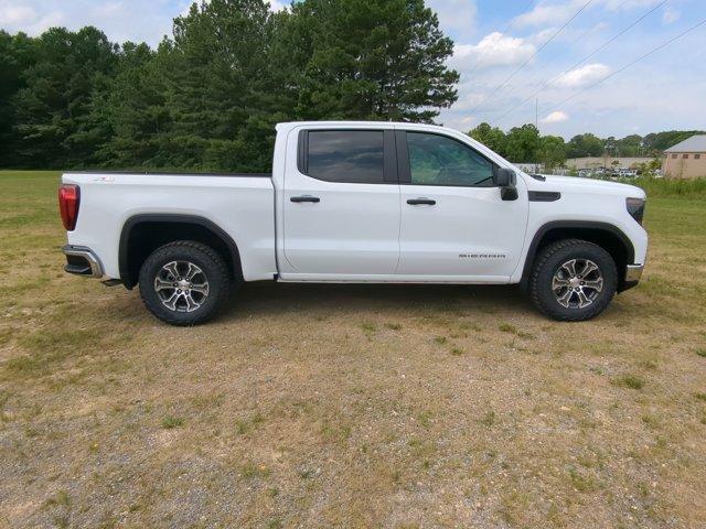 2024 GMC Sierra 1500 Vehicle Photo in ALBERTVILLE, AL 35950-0246