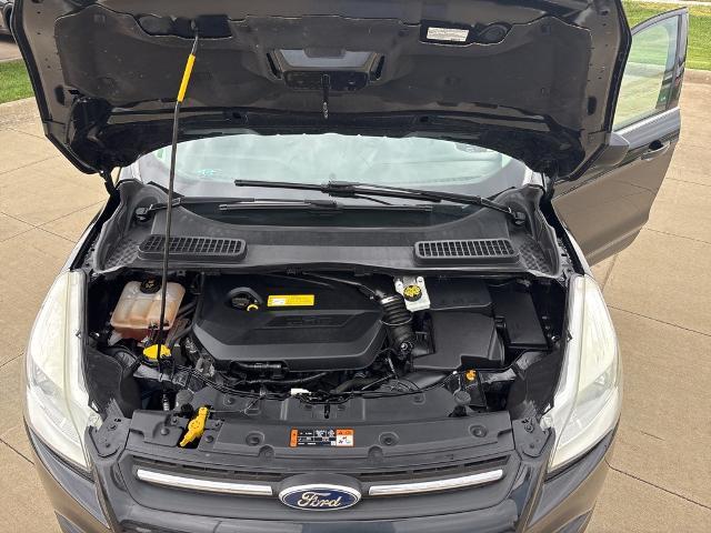 2015 Ford Escape Vehicle Photo in Peoria, IL 61615