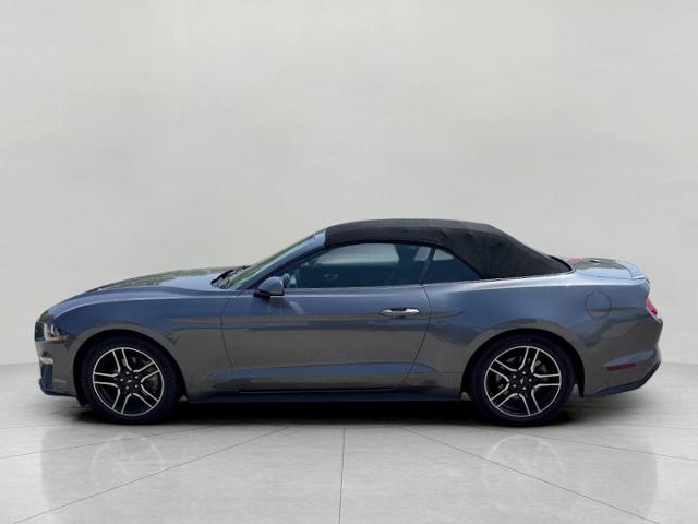 2022 Ford Mustang Vehicle Photo in Oshkosh, WI 54901