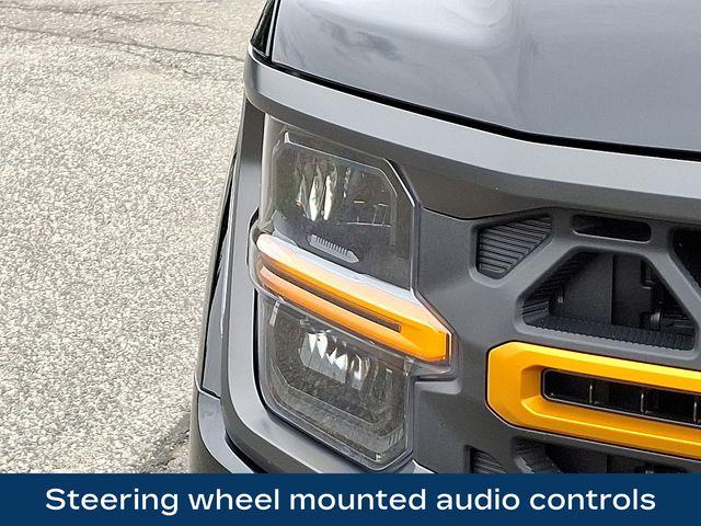2024 Ford F-150 Vehicle Photo in PAWLING, NY 12564-3219