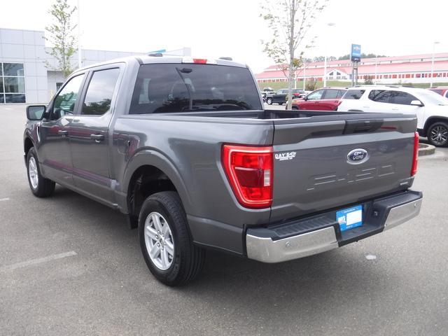 2023 Ford F-150 Vehicle Photo in JASPER, GA 30143-8655