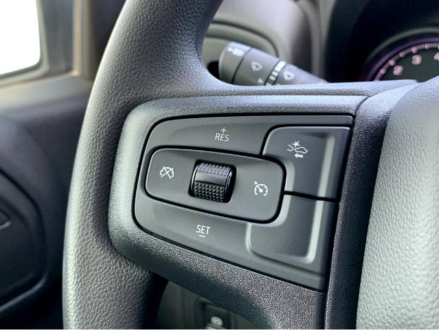 2025 Chevrolet Silverado 1500 Vehicle Photo in BEAUFORT, SC 29906-4218