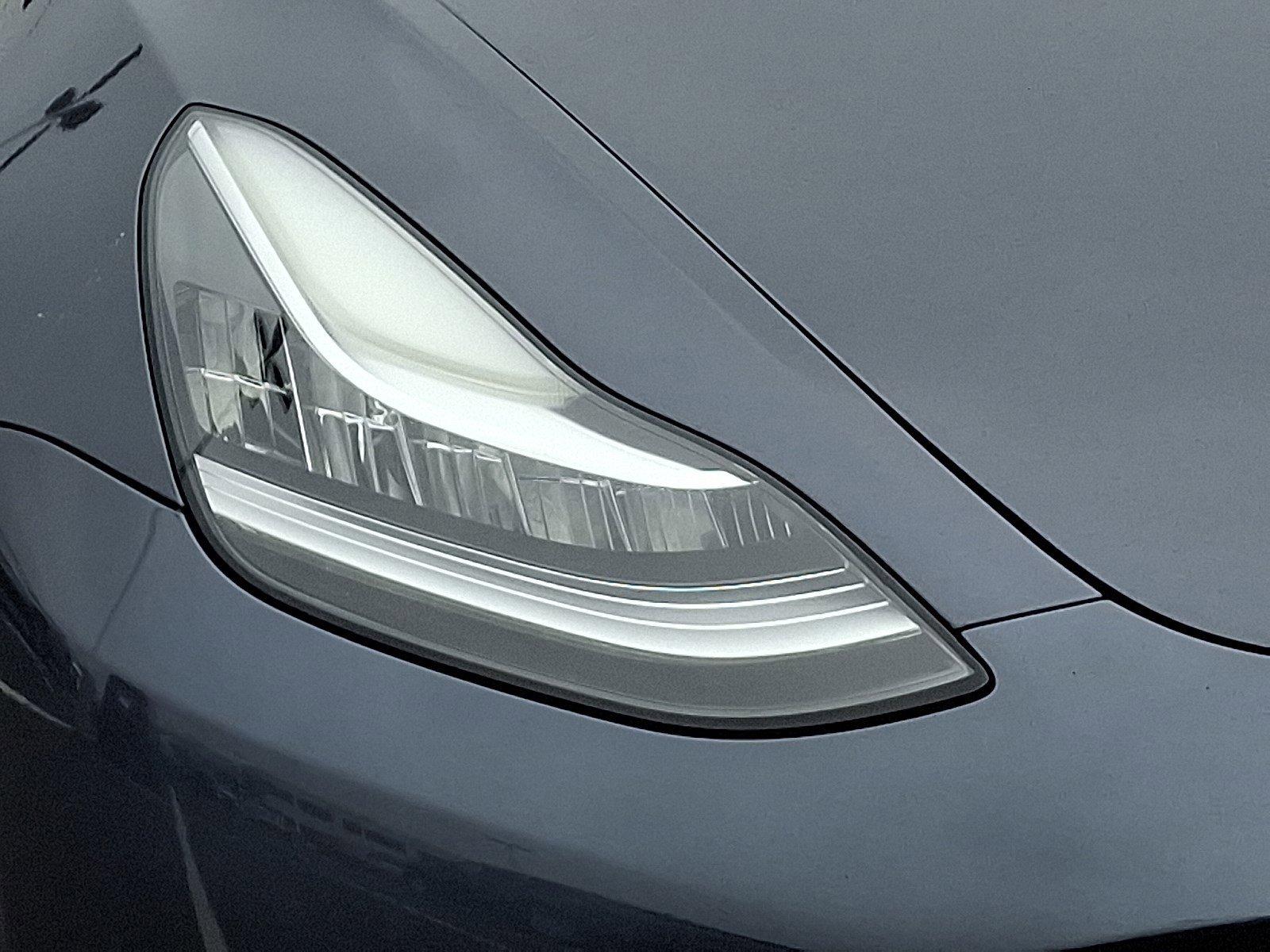 2022 Tesla Model 3 Vehicle Photo in Harrisburg, PA 17111