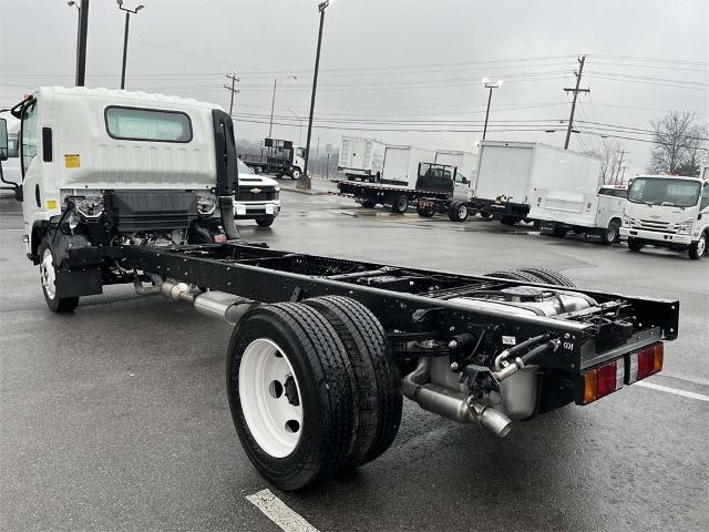 2024 Chevrolet Low Cab Forward 5500 HG Vehicle Photo in ALCOA, TN 37701-3235