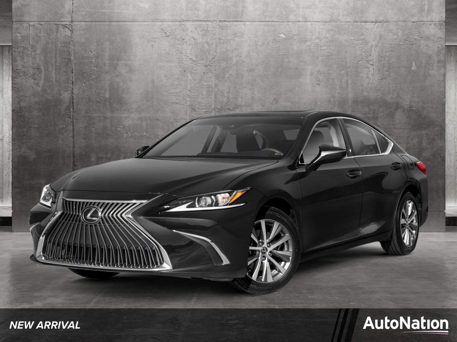 2021 Lexus ES 250 Vehicle Photo in Tampa, FL 33614