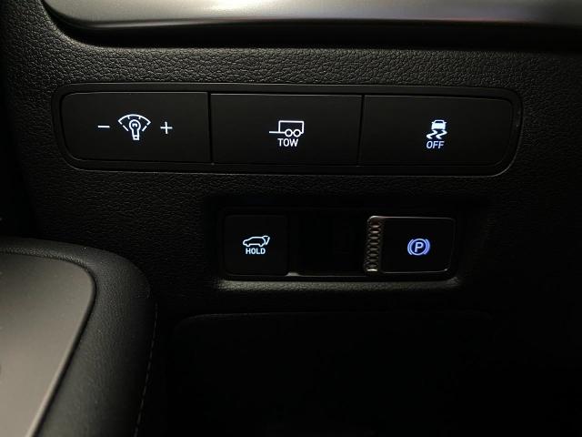 2025 Hyundai PALISADE Vehicle Photo in Appleton, WI 54913