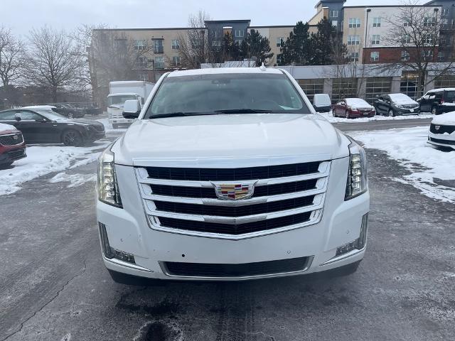 2019 Cadillac Escalade ESV Vehicle Photo in BEACHWOOD, OH 44122-4298