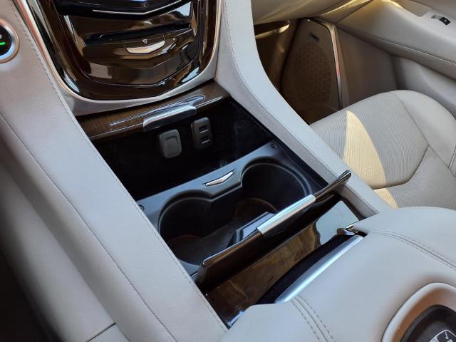 2019 Cadillac Escalade Vehicle Photo in Tampa, FL 33612