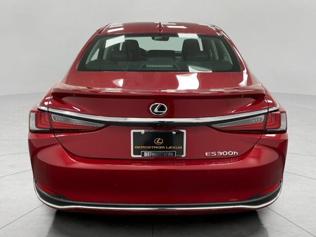 2024 Lexus ES 300h Vehicle Photo in Appleton, WI 54913