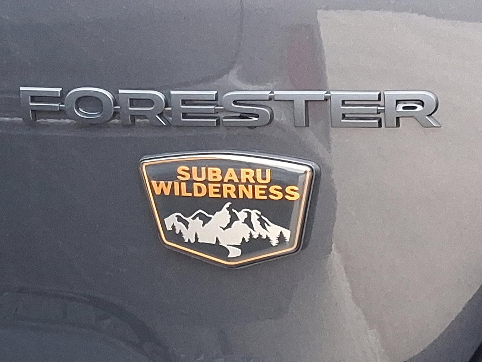 2025 Subaru Forester Vehicle Photo in Easton, PA 18045