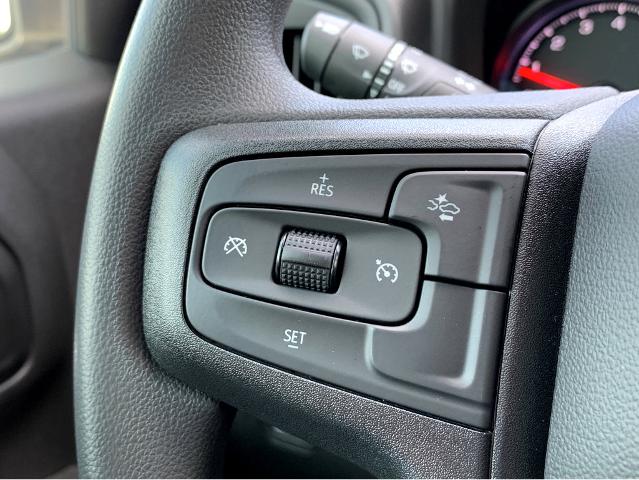 2025 Chevrolet Silverado 1500 Vehicle Photo in BEAUFORT, SC 29906-4218