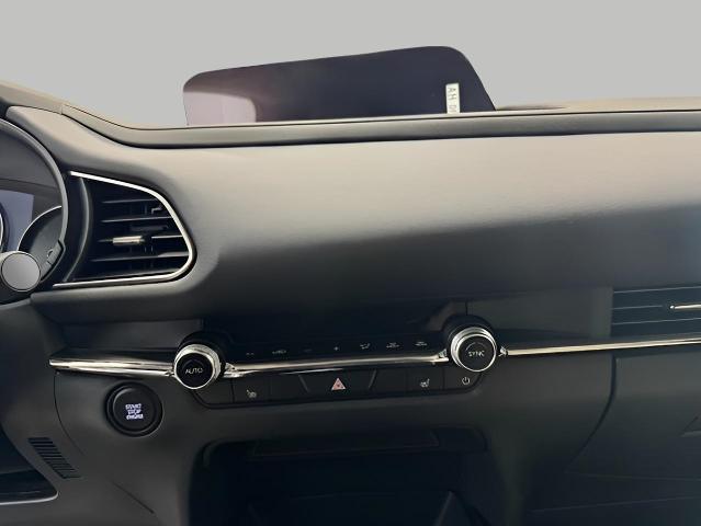 2025 Mazda CX-30 Vehicle Photo in Green Bay, WI 54304